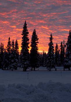 Winter Solstice